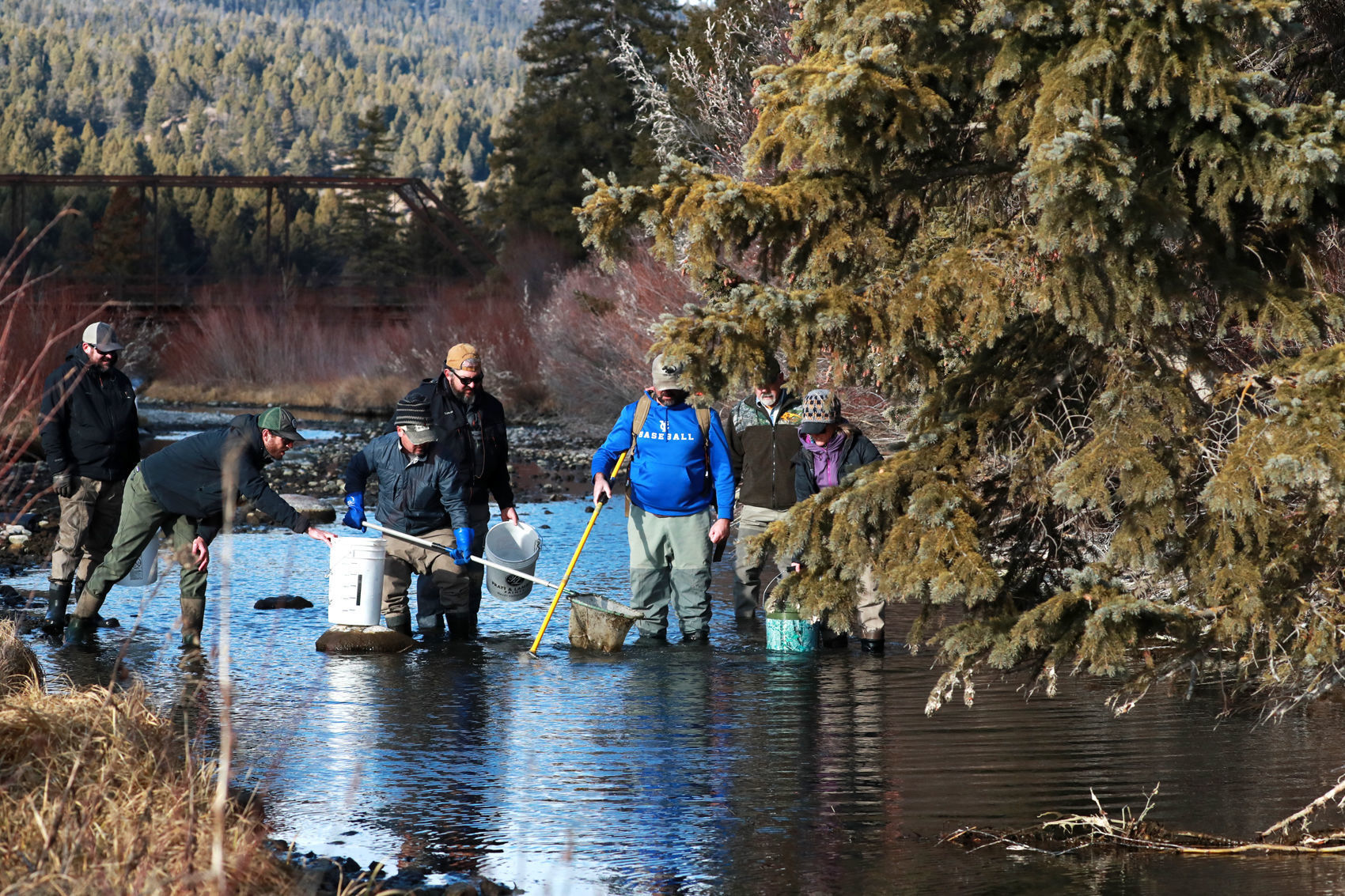 Volunteers search